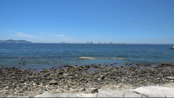 Voiliers au bord de la mer, Istanbul, Caddebostan — Video