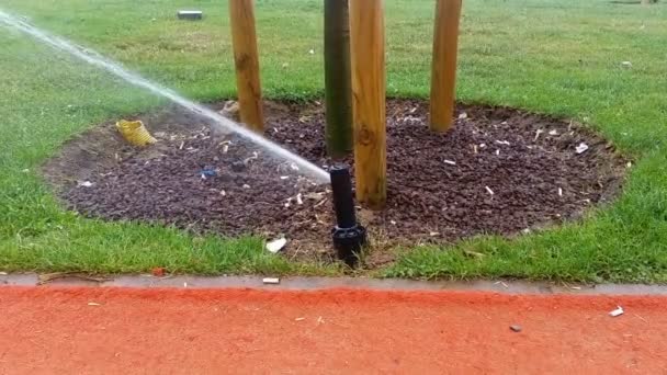 Sprinkler in der Nähe eines Baumes in einem Park — Stockvideo