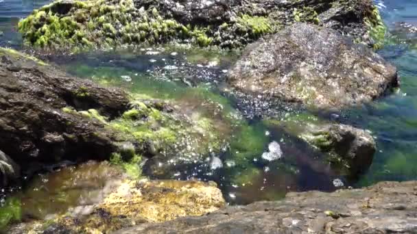 Nyugodt hullámok ütő a sziklák — Stock videók