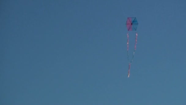Cerf-volant volant dans un ciel bleu clair — Video