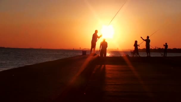 Menschen angeln im Sonnenuntergang — Stockvideo