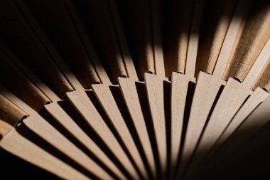 Zarif ahşap yelpaze yakın çekim. Yüksek kalite fotoğraf