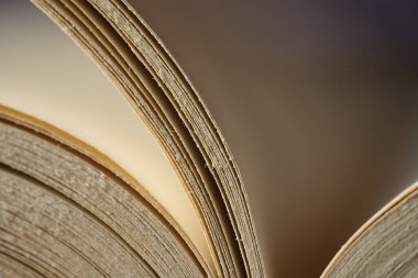 Kitap sayfalarının ritmik eğrilerinin ve dokularının sanatsal makro görünümü