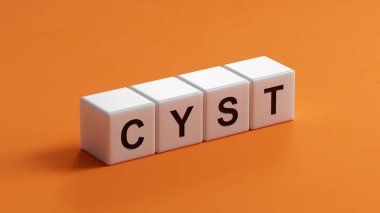 Kist kelimeli tahta küpler. Özen kavramı. Tahta küplere yakın çekim. İş Konsepti 3D tasarımı..