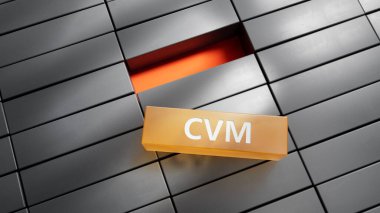 Metal blokların üzerine kurulmuş Müşteri Değeri Yönetimi kelimesi. Metal blokların kapatılması, İş Konsepti 3D oluşturma.