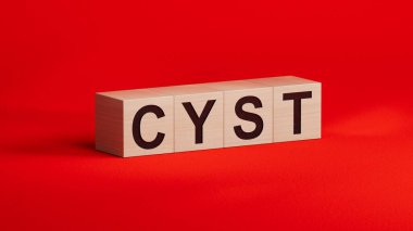 Kist kelimeli tahta küpler. Özen kavramı. Tahta küplere yakın çekim. İş Konsepti 3D tasarımı..