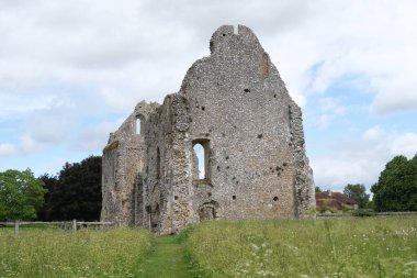 Boxgrove Manastırı 'nın kalıntıları. Önünde kır çiçeği çayırı var.