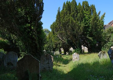 Midhurst, Batı Sussex, İngiltere. 19 Haziran 2025. Antik Yew Ağacı Bulvarı ve Yolu Tarihi St. Mary Magdalene ve St. Denys Kilisesi, Midhurst, Batı Sussex 'teki Yıpranmış Mezar Taşları ile Sıralanmış