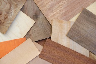 Örtüşen Ağaç Veneer Örnekleri Toplama Türleri ve Tahıl Örnekleri