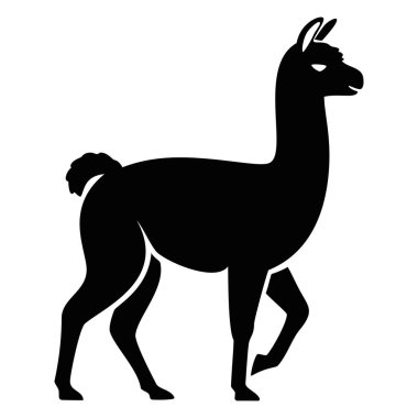Siyah bir lama silueti yürüyor. Hayvan, çiftlik ve Güney Amerika temaları için ideal. Eşsiz bir vahşi hayatı temsil ediyor.