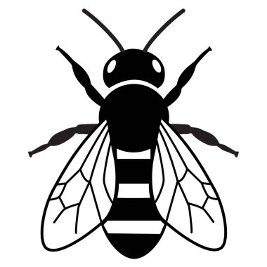 Kanatları açık, segmentli vücut ve antenleri gösteren bir arı yukarıdan aşağıya vektör çizimi