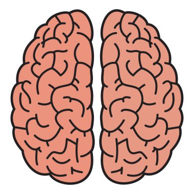 Zekayı, düşünceyi ve nörobilimi temsil eden, farklı yarımküreleri olan bir insan beyninin yukarıdan aşağıya bakışı..