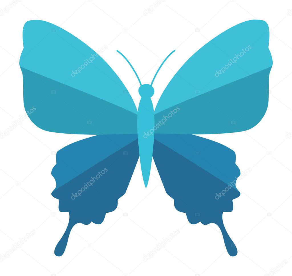 A beautiful blue butterfly with outstretched wings, perfect for illustrating nature, beauty, and transformation