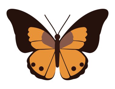 Turuncu ve kahverengi kanatlı bir kelebek, doğa ve böcek temalı projeler için mükemmel.