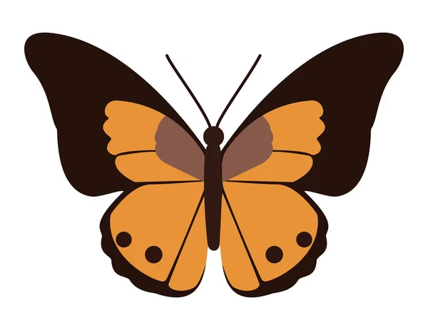 Turuncu ve kahverengi kanatlı bir kelebek, doğa ve böcek temalı projeler için mükemmel.