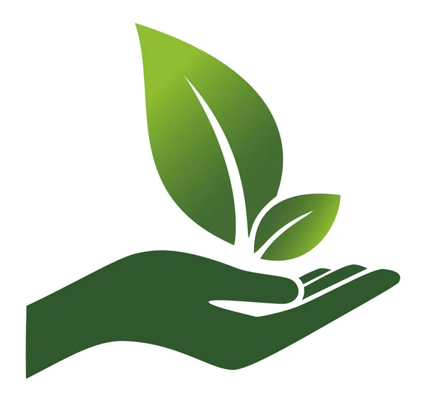 Çevre dostu, doğa koruma, büyüme ve çevre koruma tasarımları için yeşil filizlenen bir bitki.