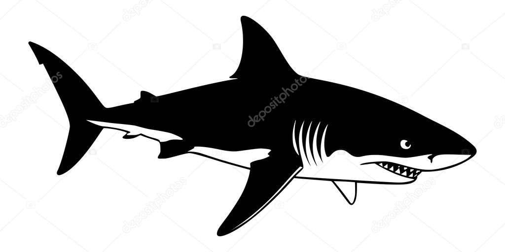 Great white shark illustration depicting a powerful ocean predator with sharp teeth and imposing fins