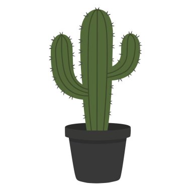 Yeşil saksıda kaktüs, dikenleri olan esnek sulu bir bitki, çöl temaları için ideal, iç dekorasyon ve bahçe işleri için.