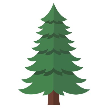 Yeşil köknar ağacı illüstrasyonu, klasik bir koni yeşili, doğa, tatil, orman ve noel temalı tasarımlar için mükemmel.
