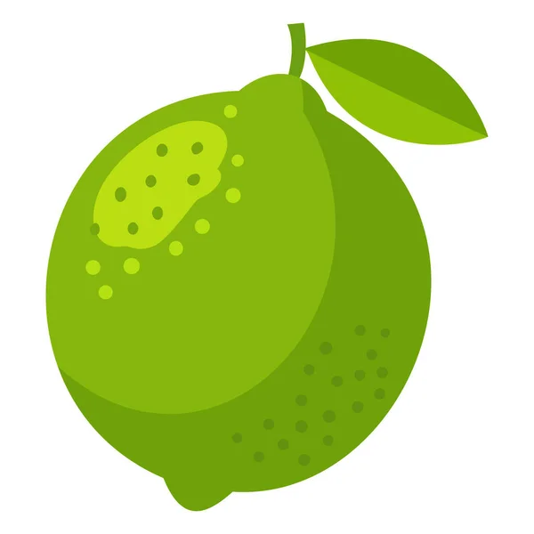 Yapraklı taze yeşil ıhlamur, sağlıklı yiyecek, içecek ve ferahlatıcı yaz içeceği için mükemmel bir narenciye çizimi.