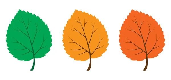 Sonbahar yaprakları canlı yeşil, turuncu ve kırmızıdır. Mevsimsel değişimi ve doğanın güzelliğini temsil eder.