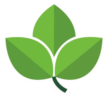 Sürdürülebilir olması için doğa, büyüme, çevre ve organik temaları sembolize eden üç yapraklı taze bir yeşil yaprak simgesi