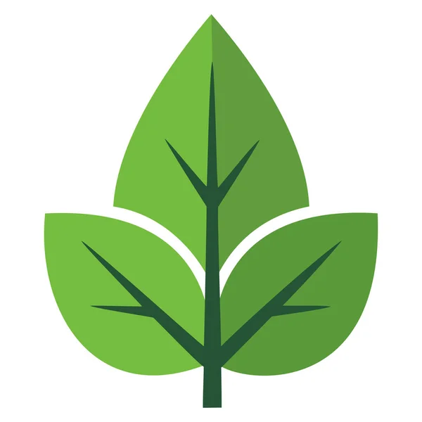 Doğa, büyüme, çevre ve çevre için organik kavramları temsil eden belirgin damarlara sahip yeşil yapraklar