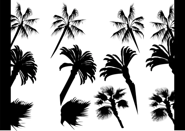 Silueta Palmeras pared — Vector de stock