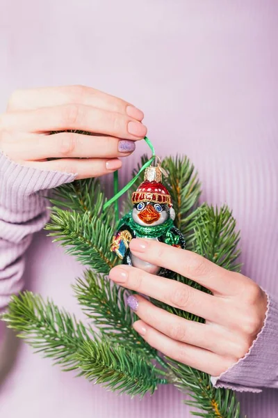 Belas mãos femininas segurando galho de árvore de Natal e pinguim de brinquedo vintage no fundo violeta pálido. Manicure com cor rosa esmalte com design brilhante, manicure natural. Espaço de cópia — Fotografia de Stock