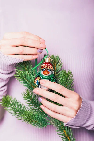 Belas mãos femininas segurando galho de árvore de Natal e pinguim de brinquedo vintage no fundo violeta pálido — Fotografia de Stock