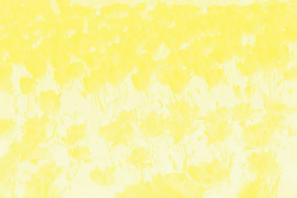 Светло-желтый и белый цветочный фон с рисунком цветов тюльпанов — стоковое фото