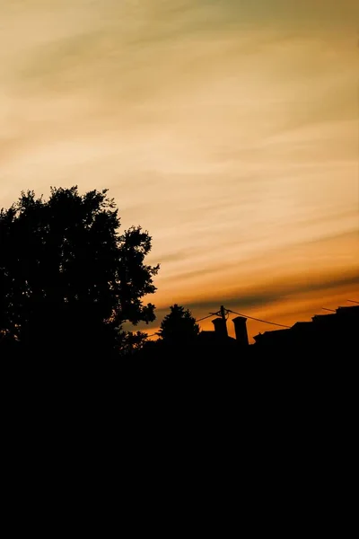 Sagome Nere Alberi Tetti Sfondo Chiaro Arancio Tramonto Cielo Copiare — Foto Stock