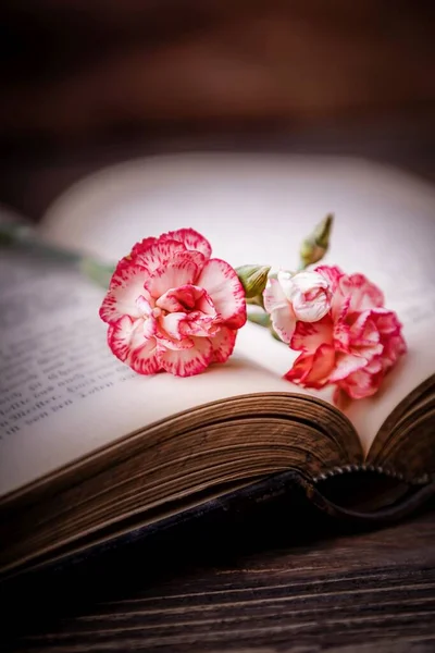 古い開いている本とピンクの白いカーネーションの花 コピースペース — ストック写真