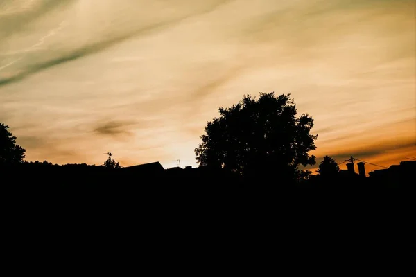 Sagome Nere Alberi Tetti Sfondo Chiaro Arancio Tramonto Cielo Copiare — Foto Stock