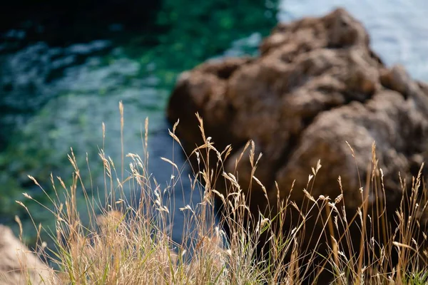乾燥した草と素晴らしい緑の結晶澄んだ水の背景 クロアチアのマカルスカ川河畔 — ストック写真