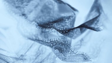 Soluk gri panorama arka planında siyah ipek dantel iç çamaşırı.