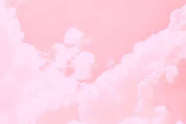 Soyut mercan, pembe, yumuşak, gökyüzü arkaplanı
