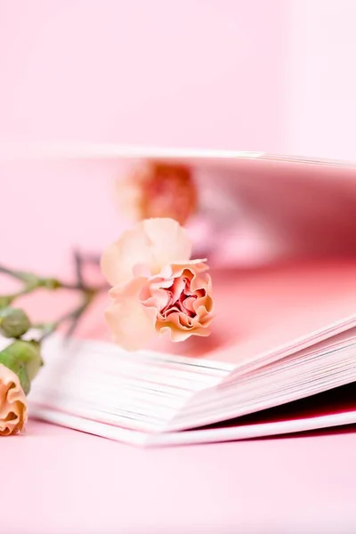 Kleine Nelke Tee Rosa Farbe Und Aufgeschlagenes Buch Auf Rosa — Stockfoto