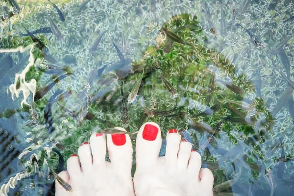 Pieds avec pieds écaillés poisson en eau claire. Célèbre lac thermal Vouliagmeni, riviera d'Athènes, Attique, Grèce — Photo