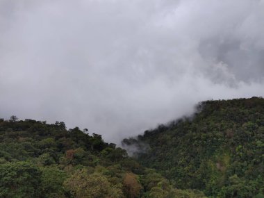Dağın güzel manzarası