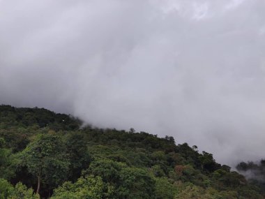 Sisi olan güzel bir manzara.