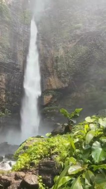 Görkemli Uzun Şelale Şelalesi Kayalık Kayalıklardan Aşağı Şelale gibi süzülüyor Etrafı yemyeşil.