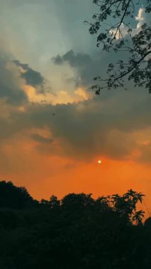 Siluetli Ormanın Üzerinde Uçan Kuşlarla Dramatik Günbatımı.