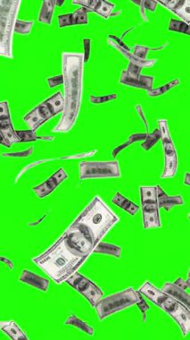 Düşen yeşil dolarlarla Amerikan banknotları.