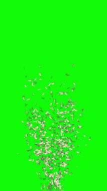 Karmaşık şekilli açık yeşil vektör şablonu. Renkli rastgele şekillerle modern soyut illüstrasyon. İşiniz için akıllı tasarım.