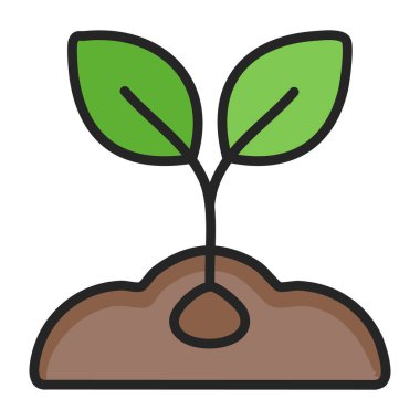 Tohum vektör simgesinden büyüyen bitki