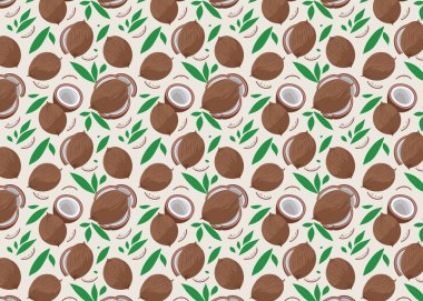 Macadamia fındıklı kusursuz desen. Yarım ve tam hindistan cevizli vektör illüstrasyonuName.