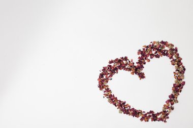 Beyaz üzerine kuru çiçekler