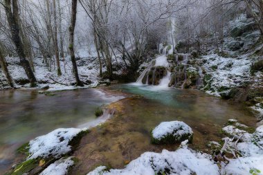 Kışın karla kaplı ağaçlar ve buzlu kayalarla çevrili bir şelale. Uzun pozlama, sakin bir Bask ülkesindeki ipeksi su akışını yakalar.