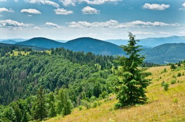 Güzel Dağlar Manzarası 